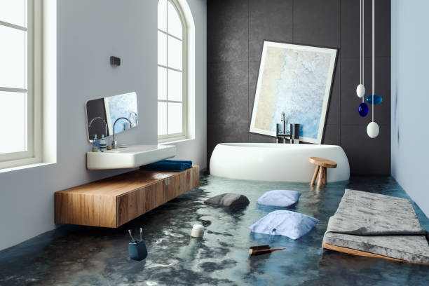 Best Mold removal after water damage  in Wfield, IN