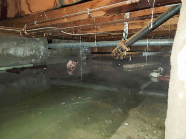 Best 24-hour water damage restoration  in Wfield, IN