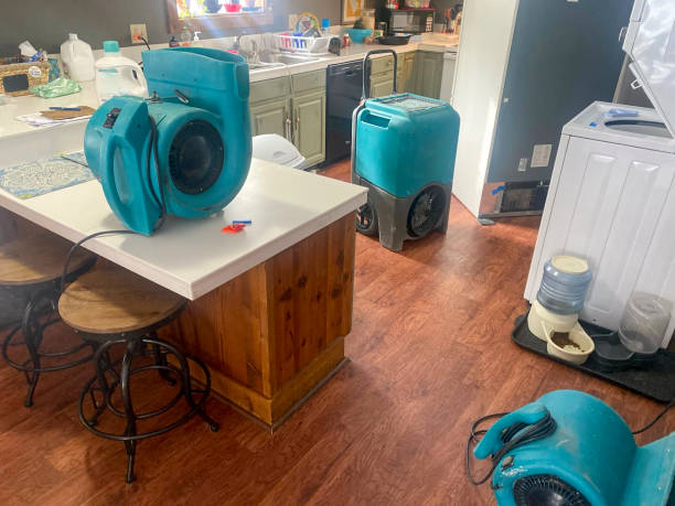 Carpet water damage restoration in Winfield, IN