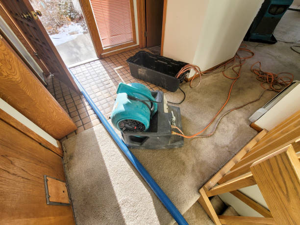 Best Commercial water damage restoration  in Wfield, IN