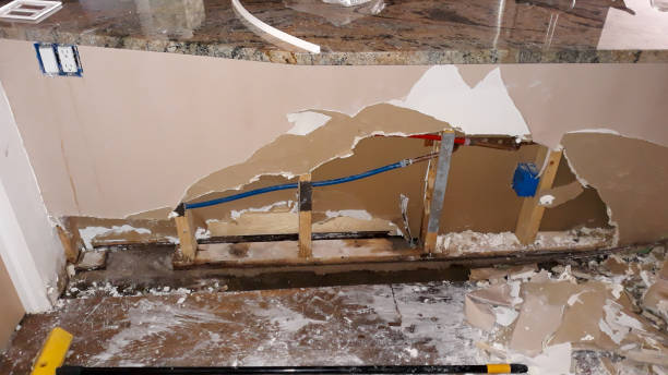 Best Carpet water damage restoration  in Wfield, IN
